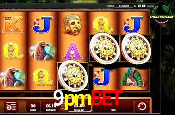 Apostas Esportivas na 9pmbet: Um Guia Completo